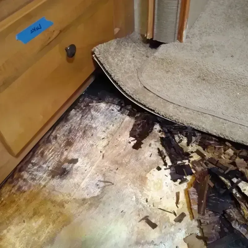 Best Wood Floor Water Damage Service in Plymouth, PA